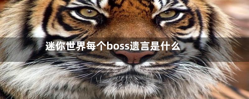 迷你世界每个boss遗言是什么