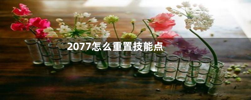 2077怎么重置技能点