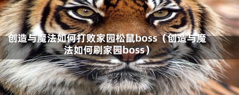 创造与魔法如何打败家园松鼠boss（创造与魔法如何刷家园boss）