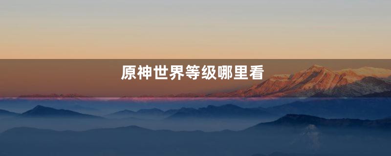 原神世界等级哪里看