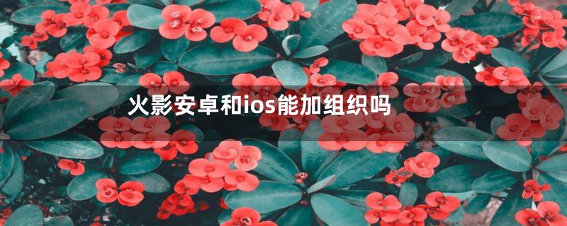 火影安卓和ios能加组织吗