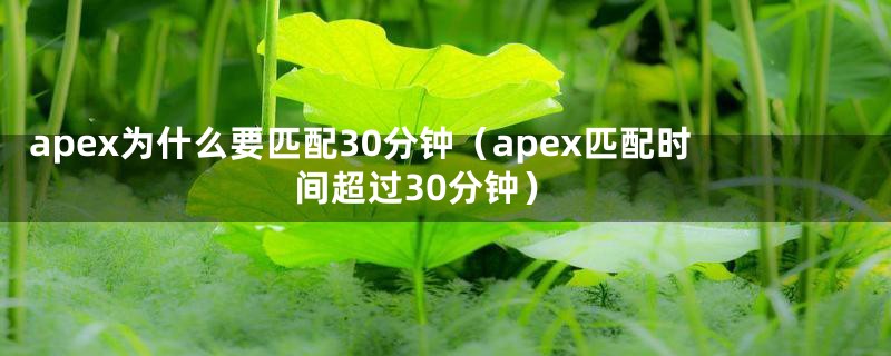 apex为什么要匹配30分钟（apex匹配时间超过30分钟）