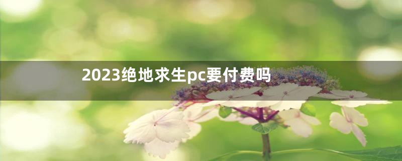 2023绝地求生pc要付费吗