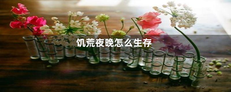 饥荒夜晚怎么生存