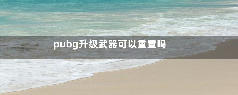 pubg升级武器可以重置吗