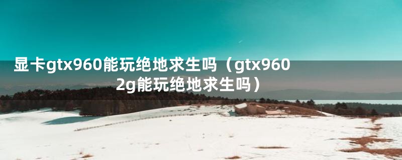 显卡gtx960能玩绝地求生吗（gtx9602g能玩绝地求生吗）