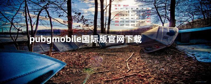 pubgmobile国际版官网下载