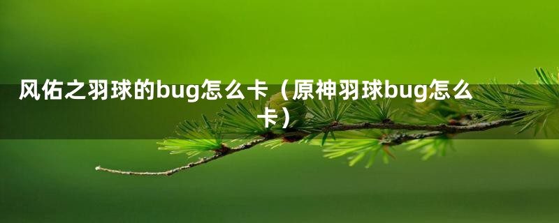 风佑之羽球的bug怎么卡（原神羽球bug怎么卡）