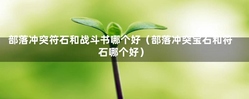 部落冲突符石和战斗书哪个好（部落冲突宝石和符石哪个好）