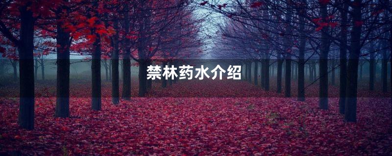 禁林药水介绍