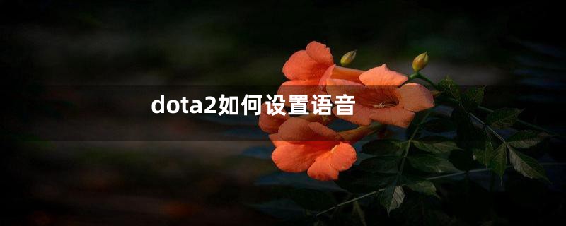 dota2如何设置语音