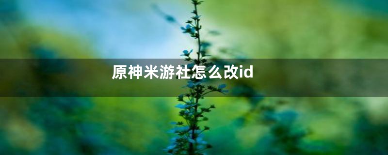 原神米游社怎么改id