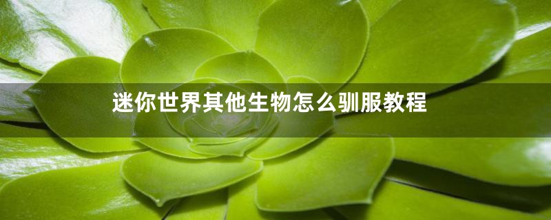 迷你世界其他生物怎么驯服教程