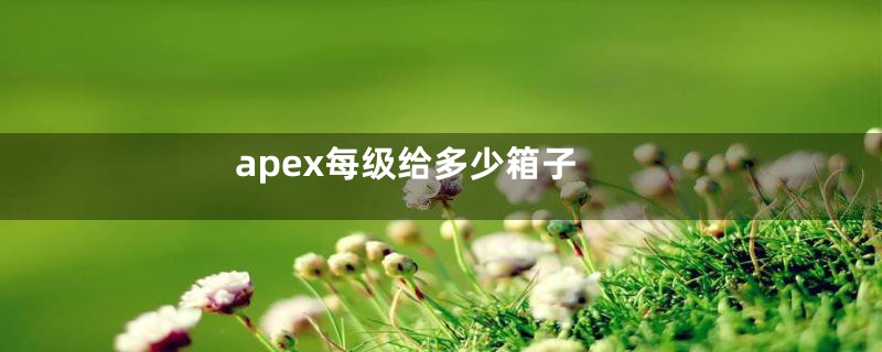 apex每级给多少箱子