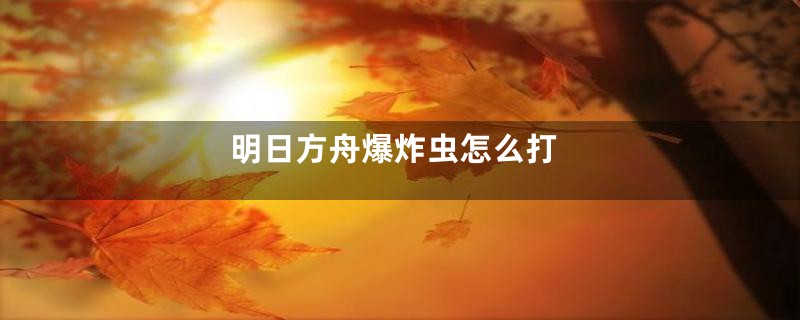 明日方舟爆炸虫怎么打