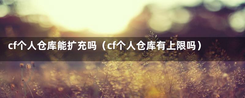 cf个人仓库能扩充吗（cf个人仓库有上限吗）