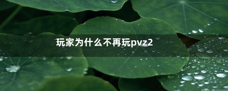 玩家为什么不再玩pvz2