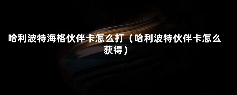 哈利波特海格伙伴卡怎么打（哈利波特伙伴卡怎么获得）