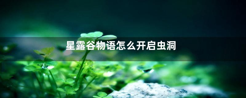 星露谷物语怎么开启虫洞