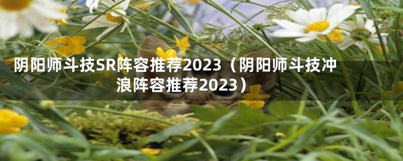 阴阳师斗技SR阵容推荐2023（阴阳师斗技冲浪阵容推荐2023）