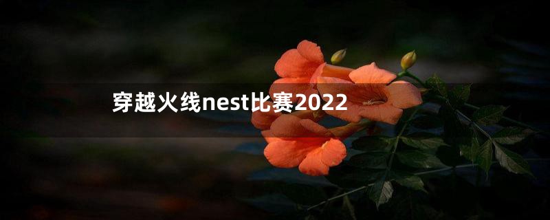 穿越火线nest比赛2022