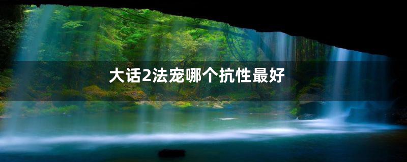 大话2法宠哪个抗性最好