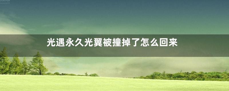 光遇永久光翼被撞掉了怎么回来