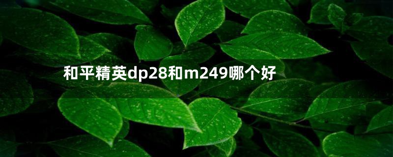 和平精英dp28和m249哪个好