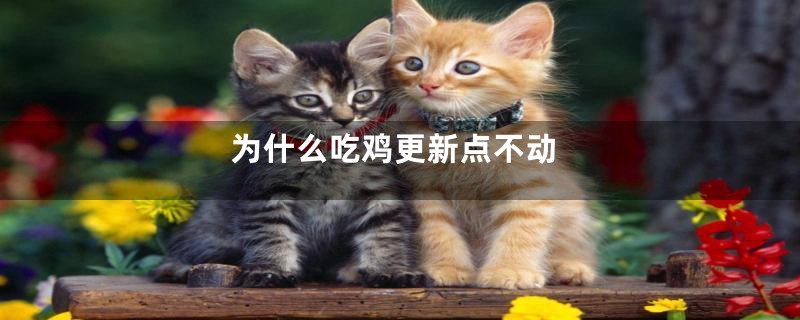 为什么吃鸡更新点不动