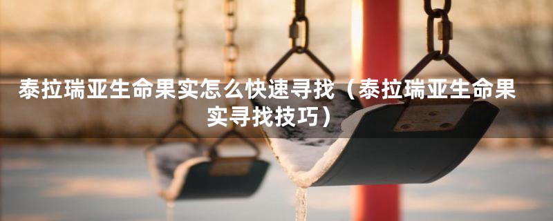 泰拉瑞亚生命果实怎么快速寻找（泰拉瑞亚生命果实寻找技巧）