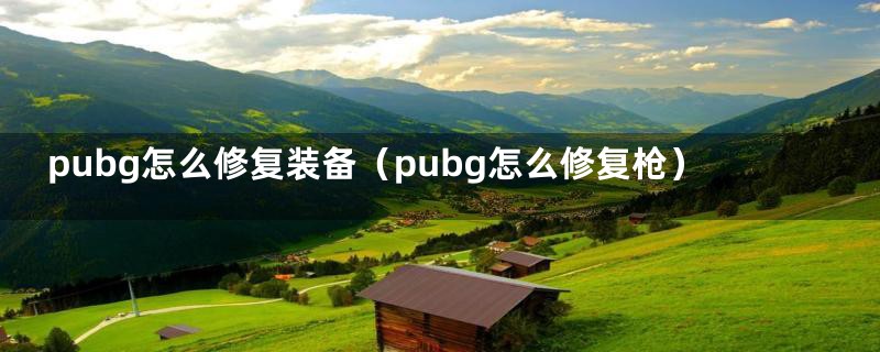 pubg怎么修复装备（pubg怎么修复枪）