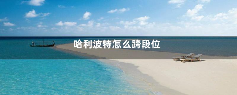 哈利波特怎么跨段位