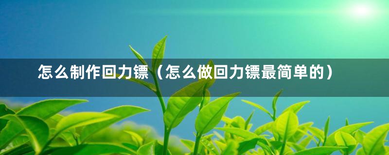 怎么制作回力镖（怎么做回力镖最简单的）