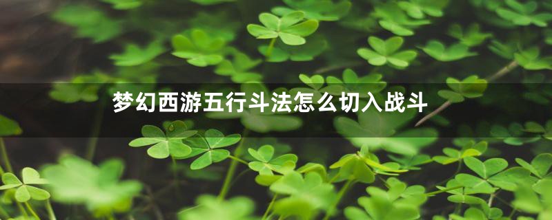 梦幻西游五行斗法怎么切入战斗