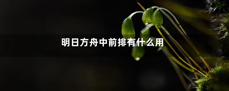 明日方舟中前排有什么用