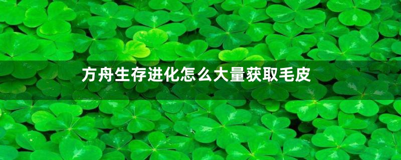 方舟生存进化怎么大量获取毛皮