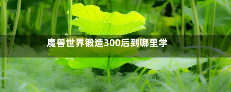 魔兽世界锻造300后到哪里学