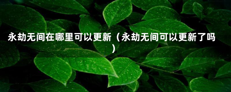 永劫无间在哪里可以更新（永劫无间可以更新了吗）