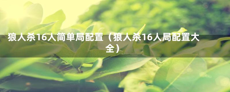 狼人杀16人简单局配置（狼人杀16人局配置大全）