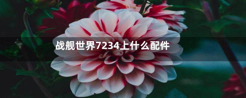 战舰世界7234上什么配件