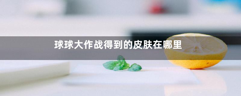 球球大作战得到的皮肤在哪里