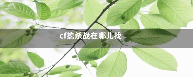 cf擒杀战在哪儿找