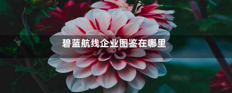 碧蓝航线企业图鉴在哪里