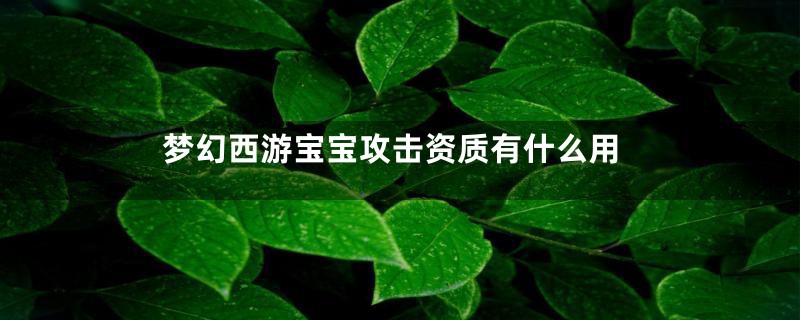 梦幻西游宝宝攻击资质有什么用