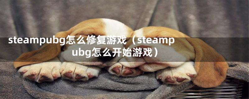 steampubg怎么修复游戏（steampubg怎么开始游戏）