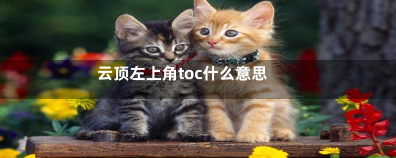 云顶左上角toc什么意思