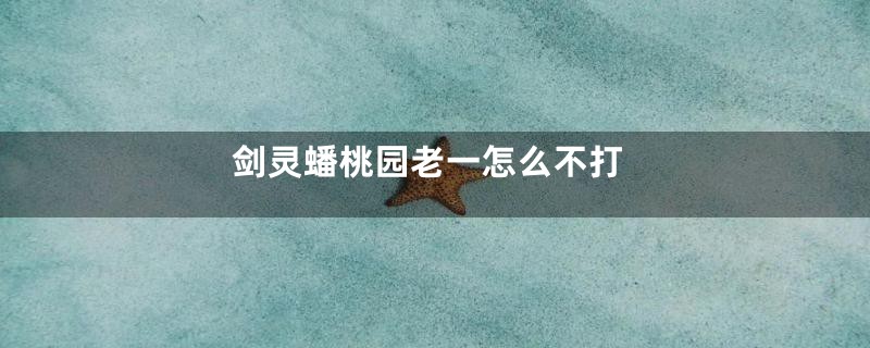 剑灵蟠桃园老一怎么不打