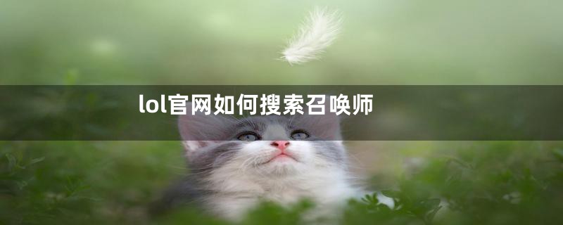 lol官网如何搜索召唤师