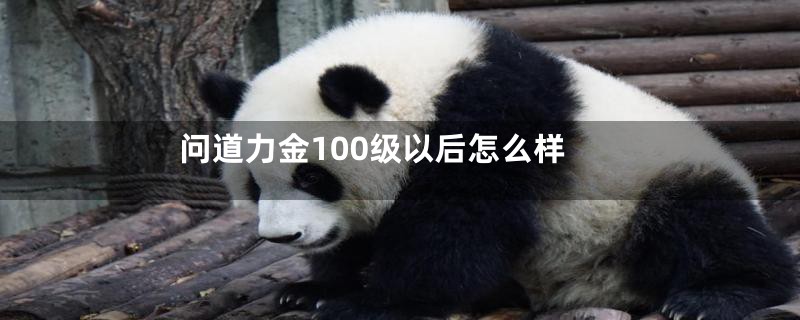 问道力金100级以后怎么样