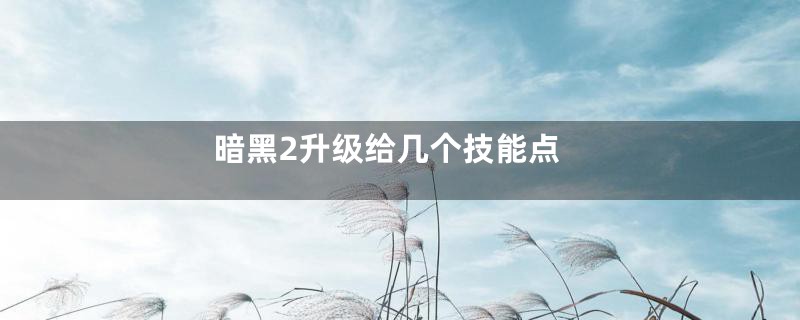 暗黑2升级给几个技能点